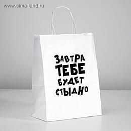 ПАКЕТ ПОДАРОЧНЫЙ ЗАВТРА ТЕБЕ БУДЕТ СТЫДНО 24х14х30 см, арт. 4836674